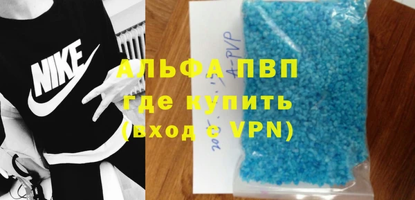 стаф Аркадак