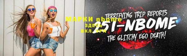 стаф Аркадак